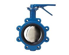 Butterfly Valves Supplier in India