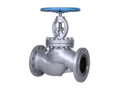 Globe Valves Supplier in India