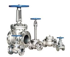 Stainless Steel Valves Supplier in India